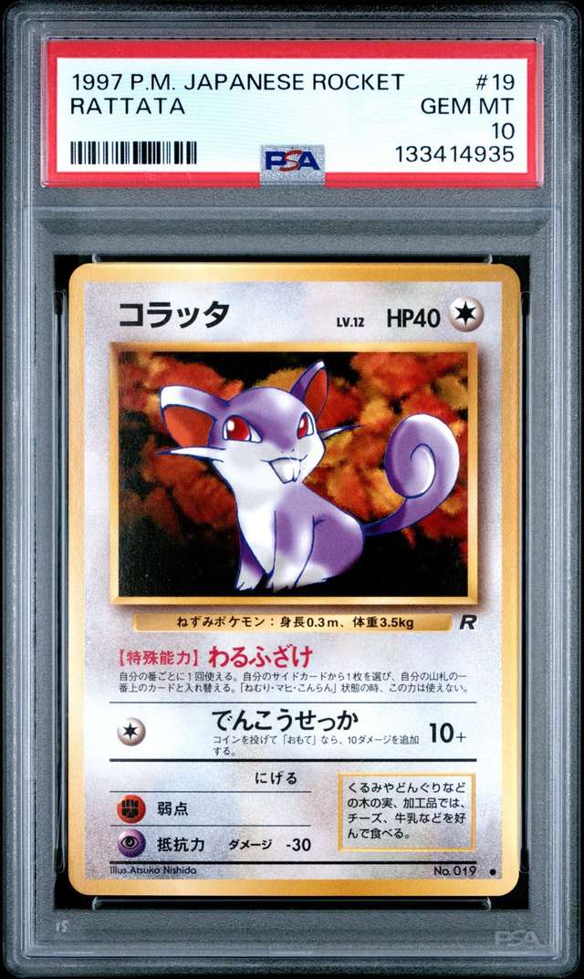 Rattata