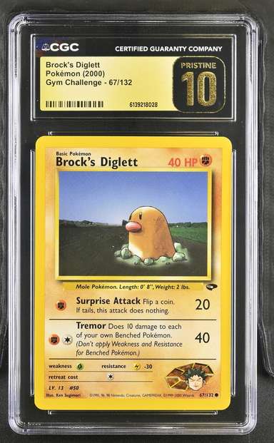 Brock's Diglett