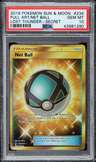 Net Ball