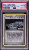 Mysterious Fossil