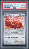 Ursaring