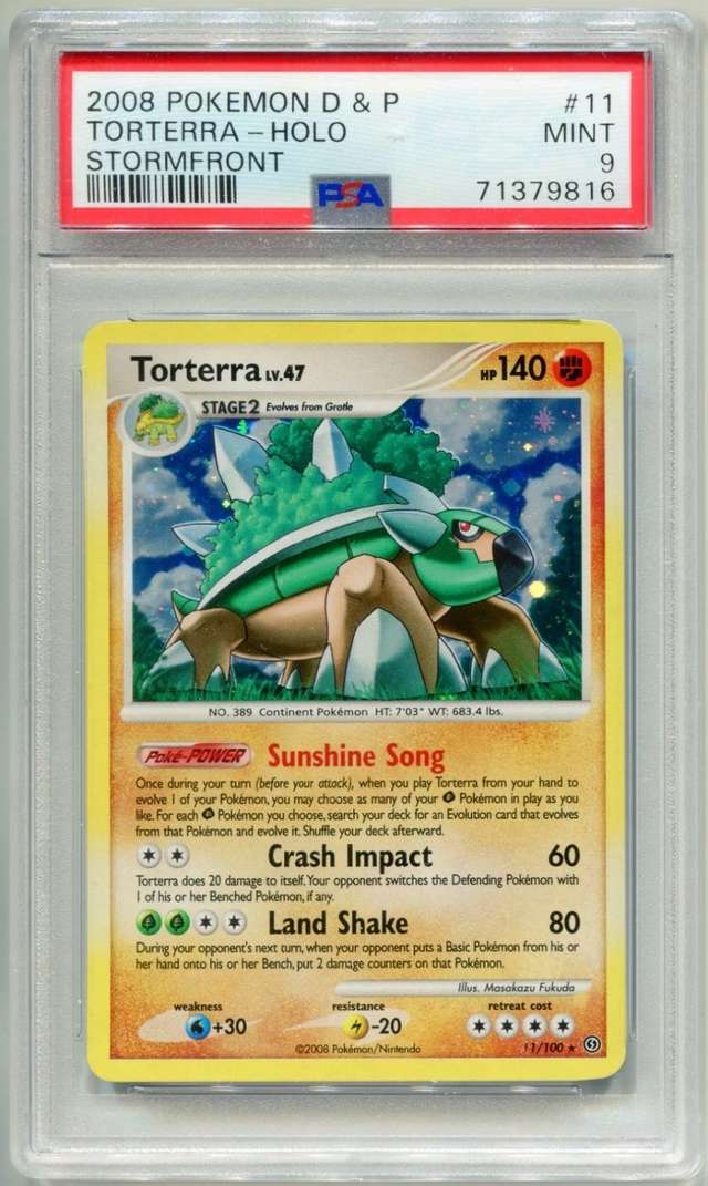 Torterra