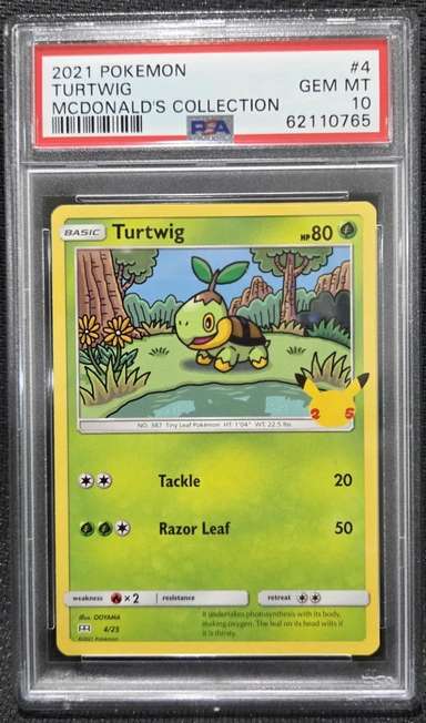 TURTWIG