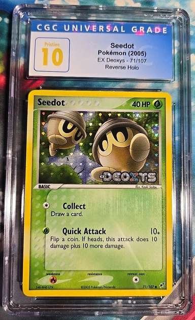 Seedot