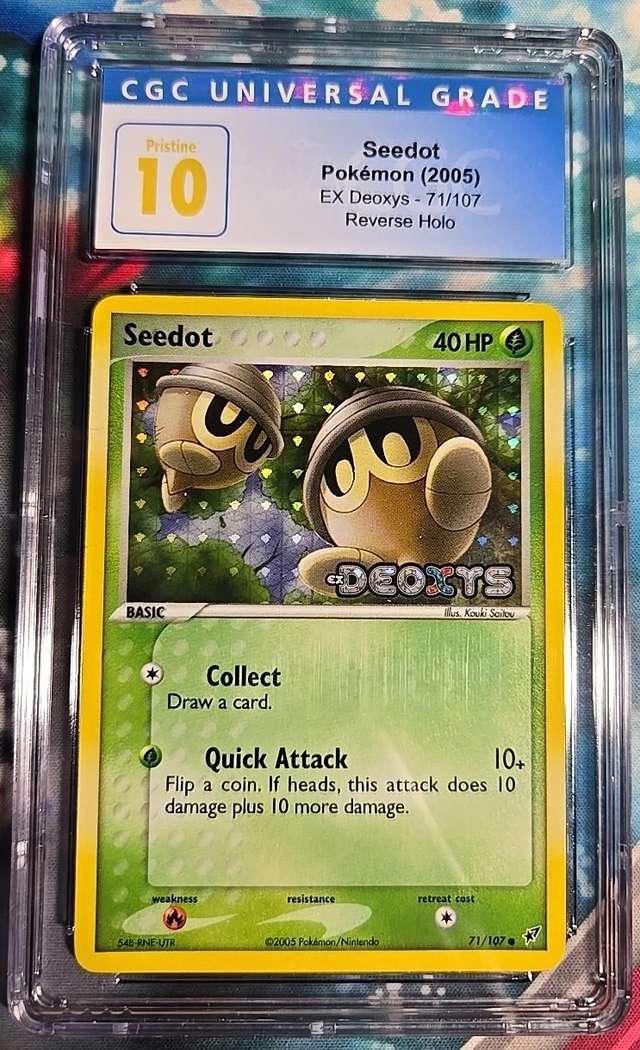 Seedot
