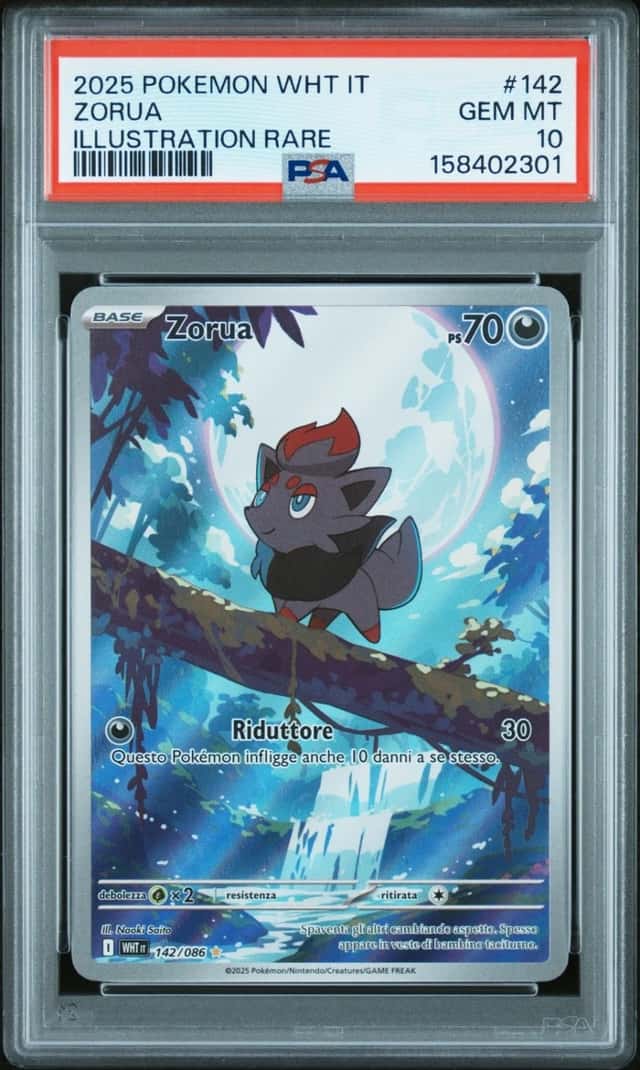 Zorua