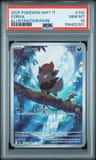 Zorua
