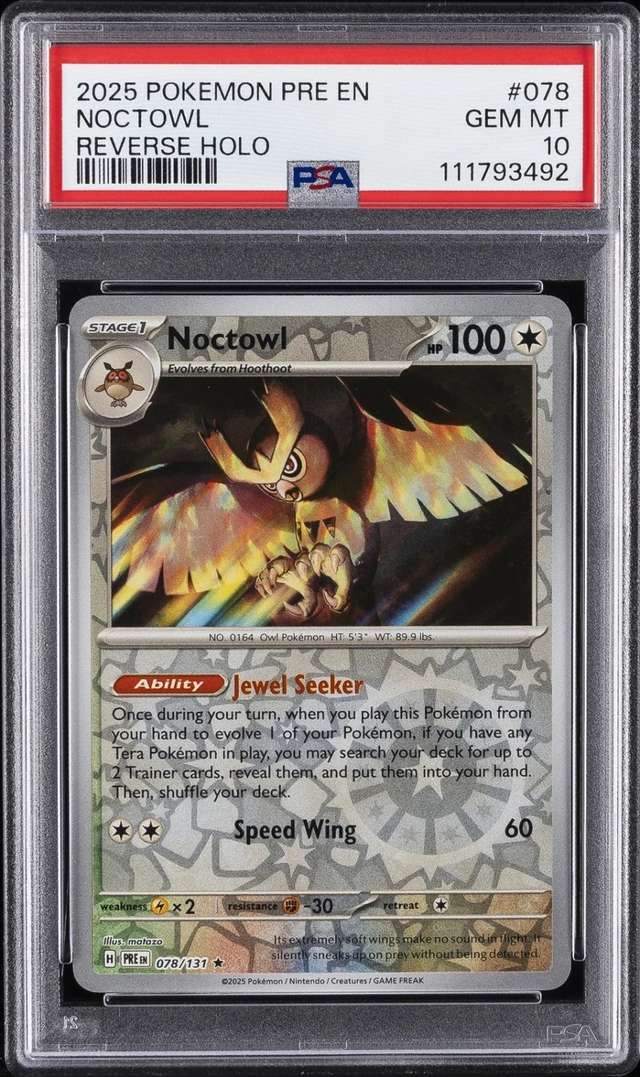 Noctowl