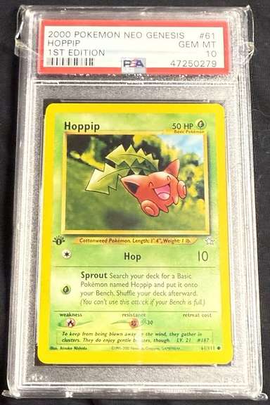 Hoppip