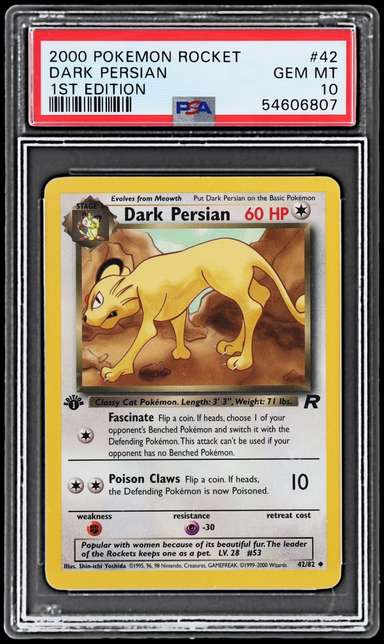 Dark Persian