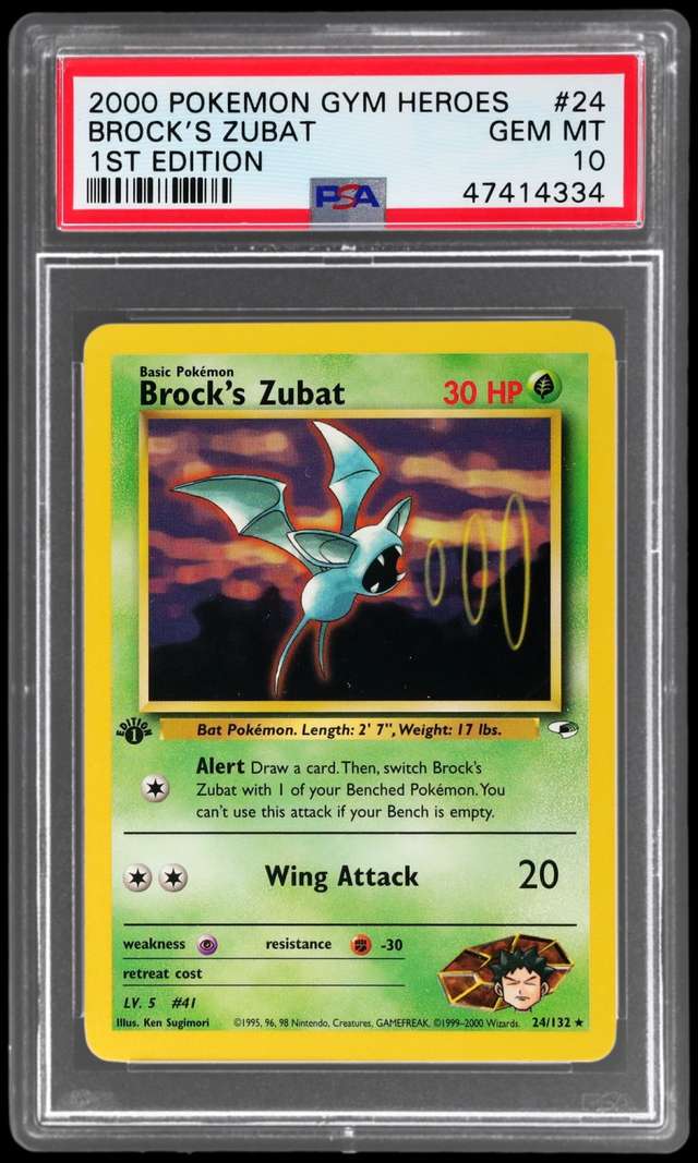 Brock's Zubat