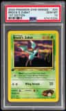 Brock'S Zubat