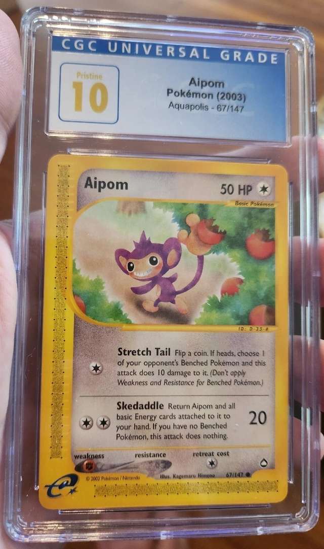 Aipom