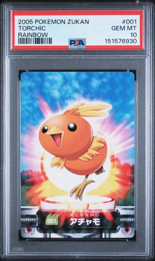 Torchic