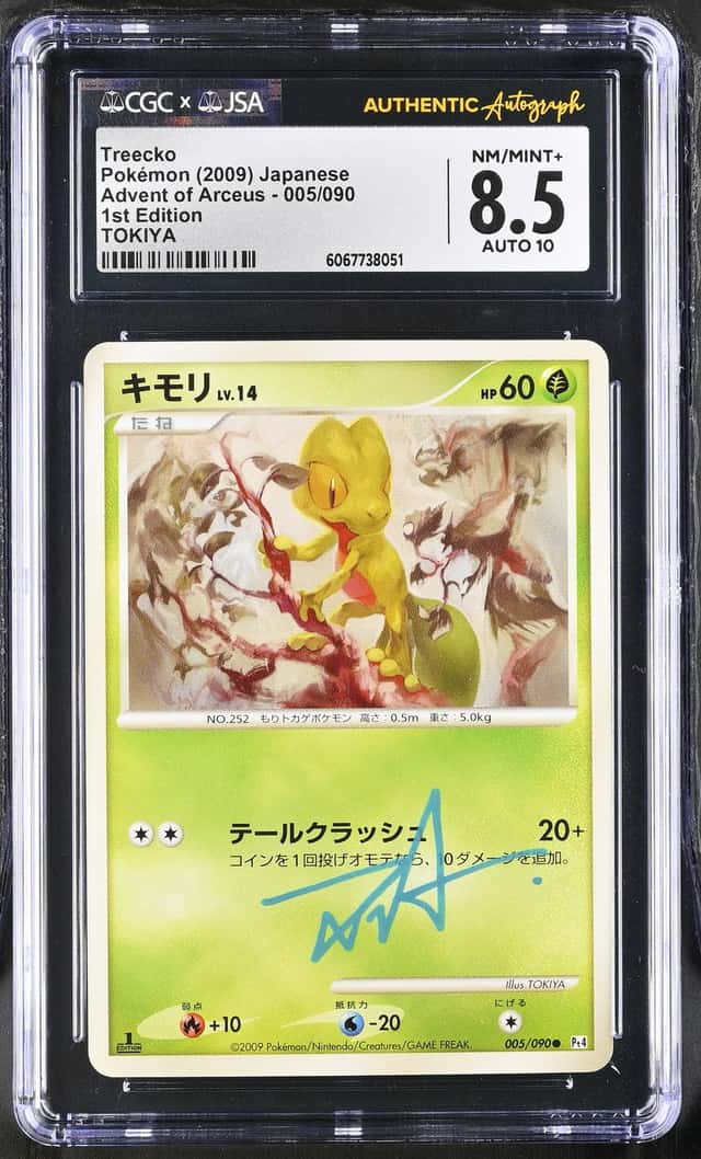 Treecko