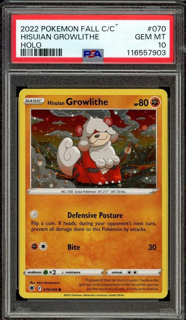 Hisuian Growlithe