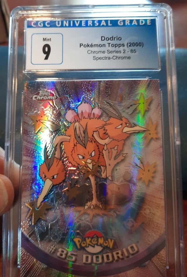 Dodrio