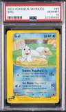 Seel