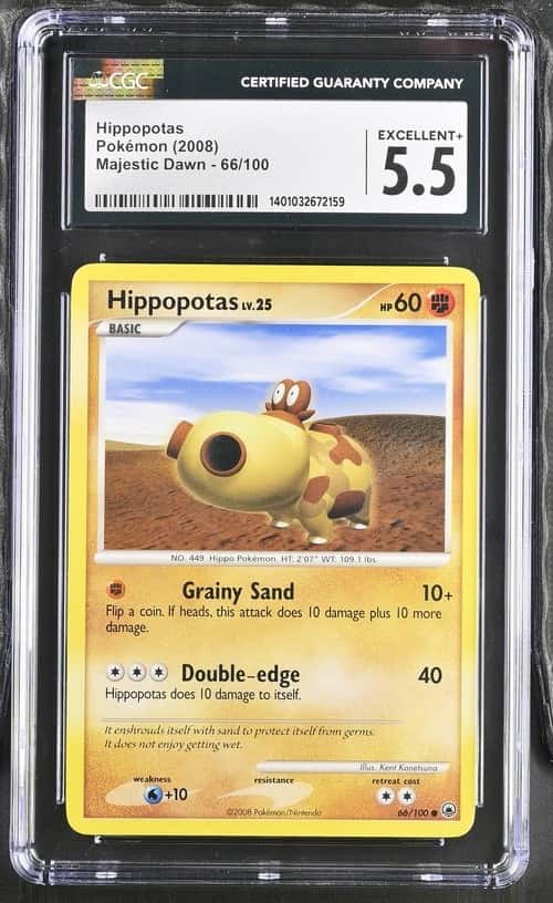 Hippopotas