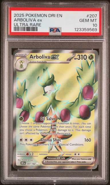ARBOLIVA ex