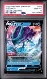 Suicune V