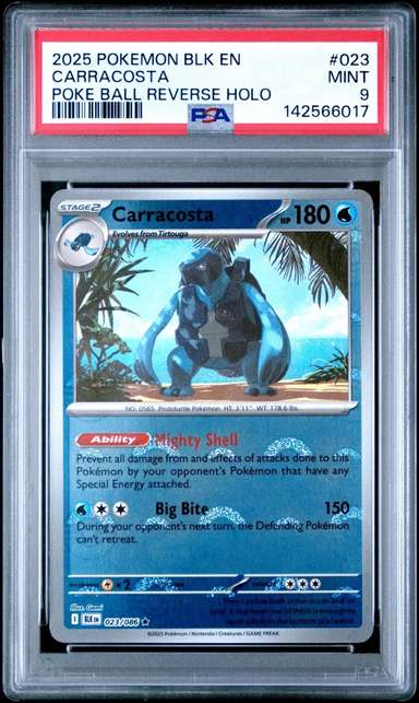 Carracosta