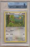 Kecleon