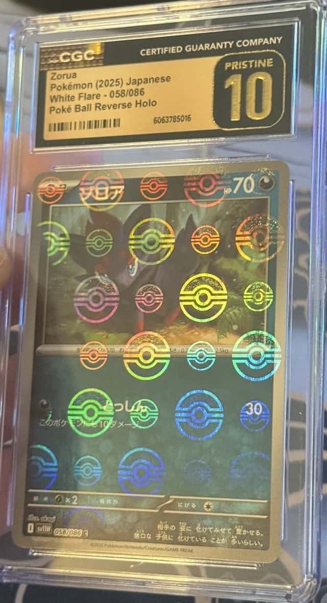 Zorua