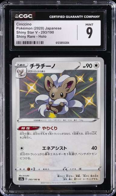 Cinccino