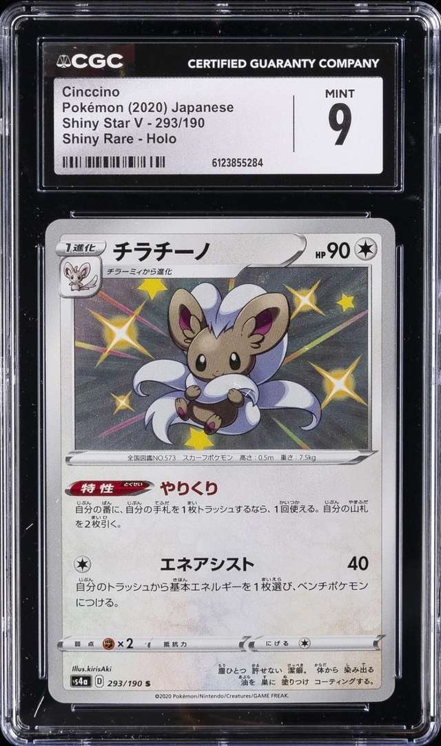 Cinccino