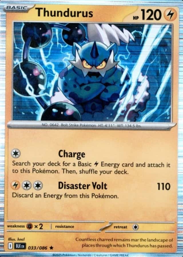 Base / no variant