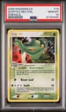 Sceptile