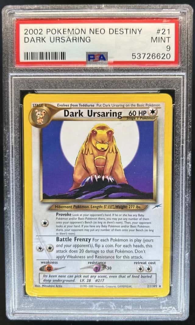 Dark Ursaring