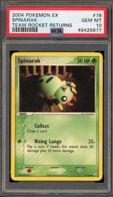 SPINARAK