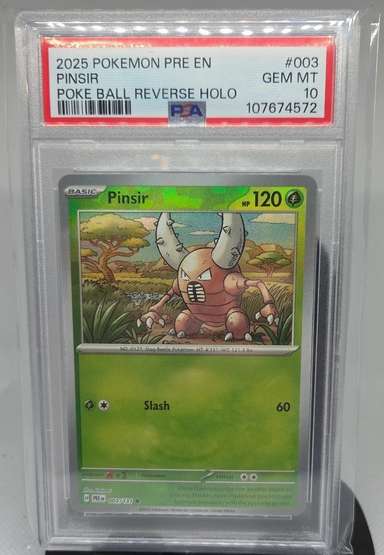 Pinsir