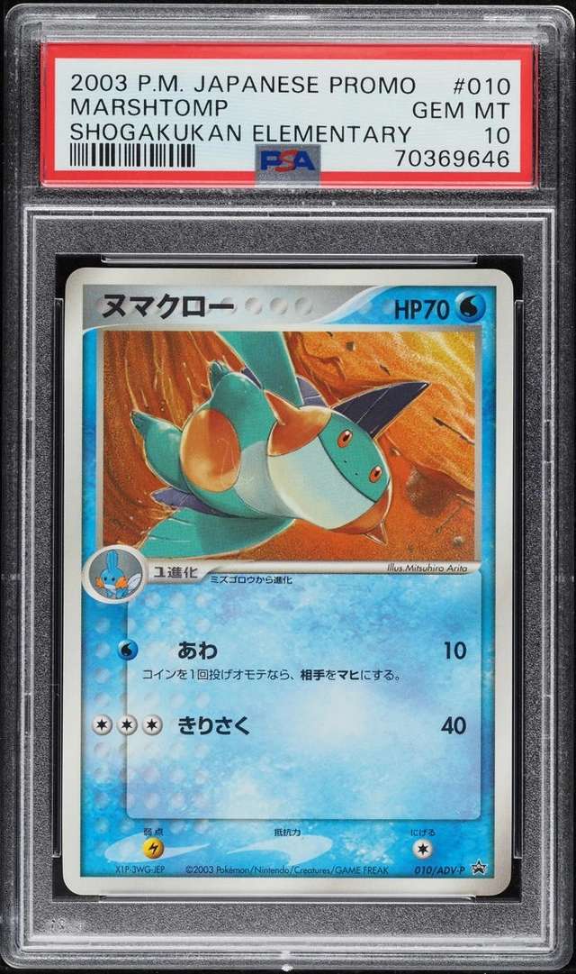 Marshtomp