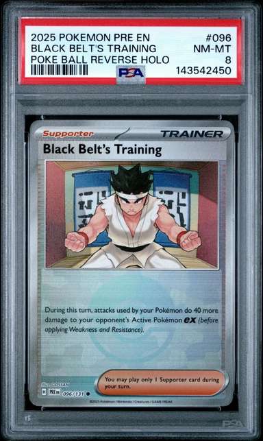 Black Belt's Training