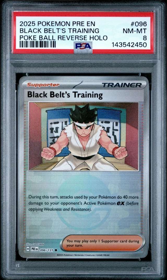 Black Belt's Training