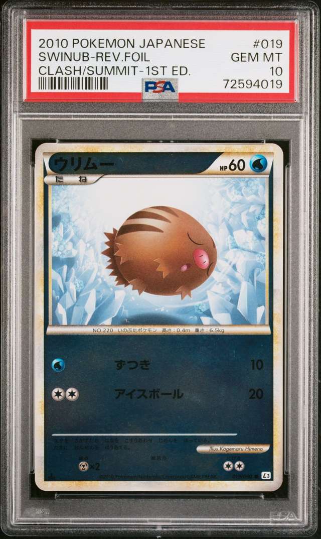 SWINUB