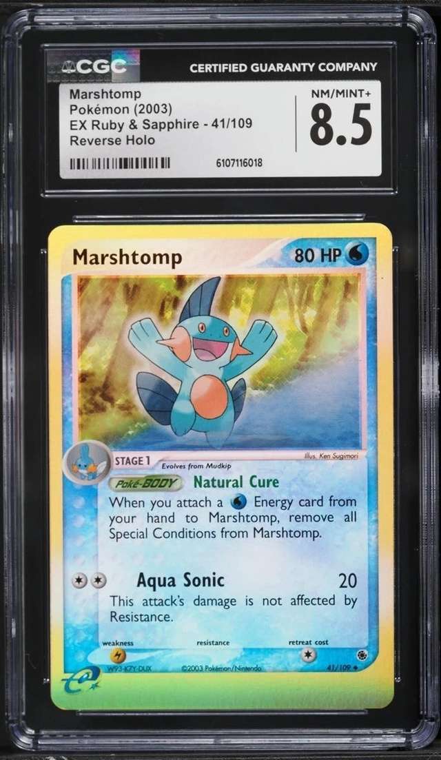 Marshtomp