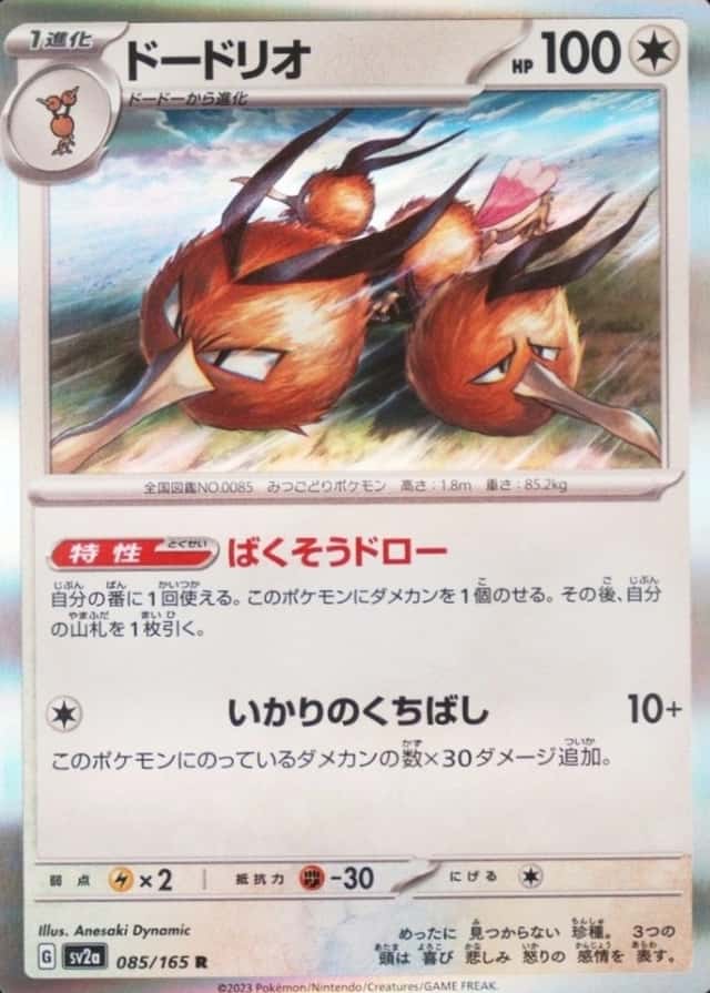 Holo
