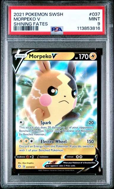 Morpeko V