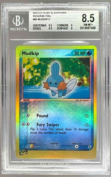 Mudkip