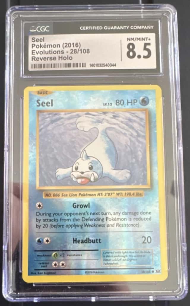 Seel