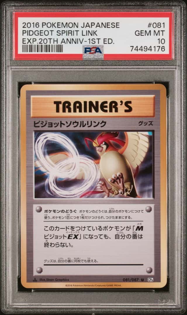 Pidgeot Spirit Link