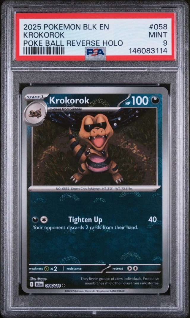 Krokorok