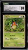 Ledyba
