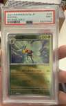 Beedrill