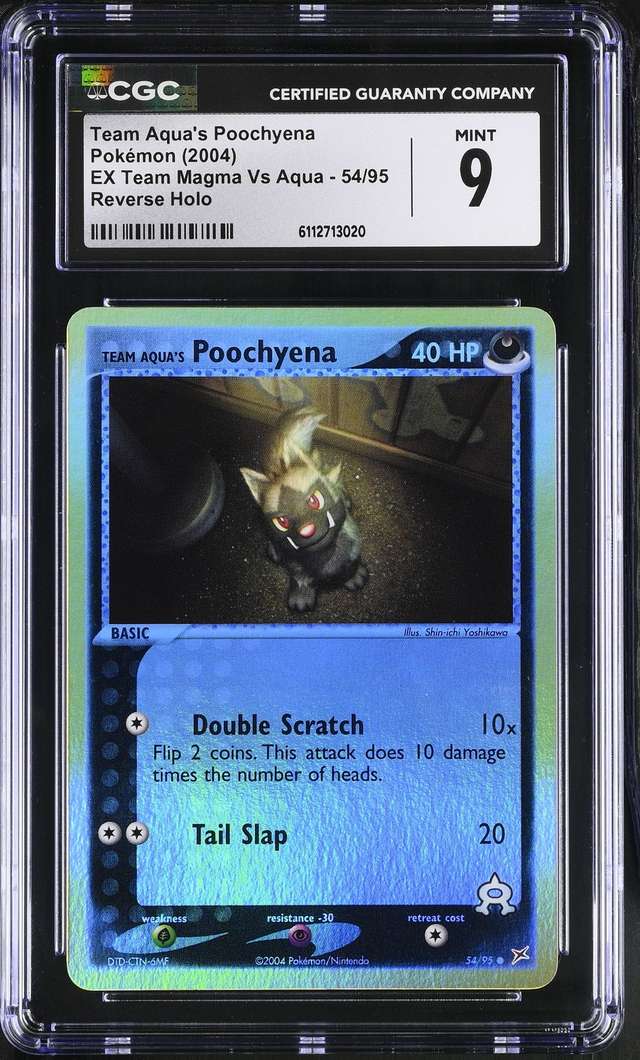 Aqua's Poochyena