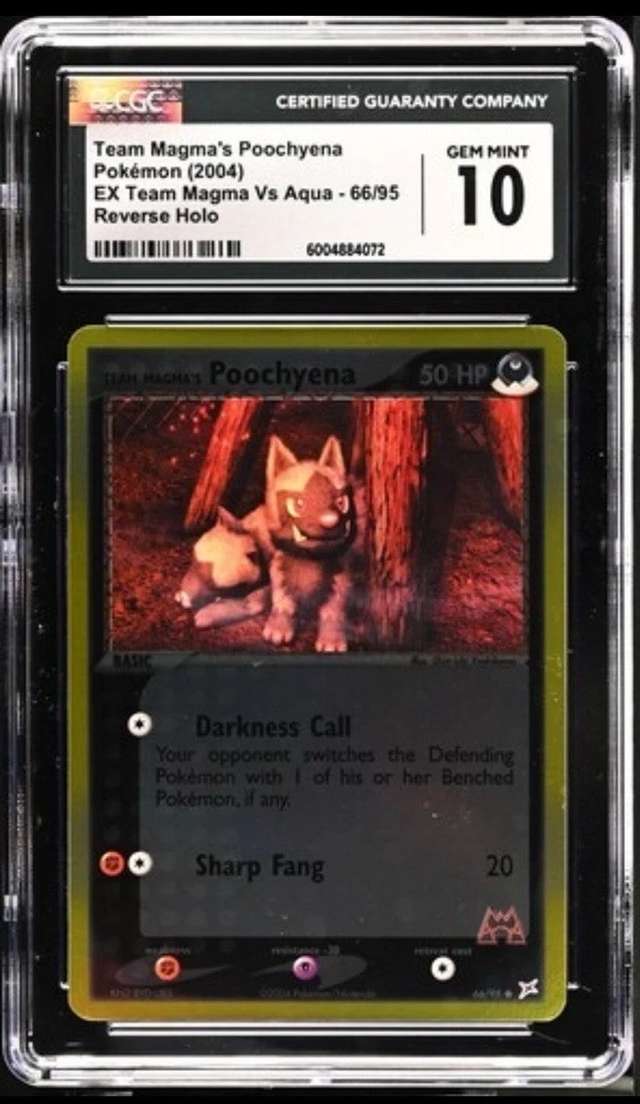 Team Magma's Poochyena
